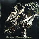 Noise & Flowers Artwork