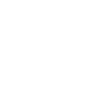 NYCH Logo